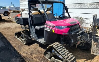 Support the Pink Ranger Campaign