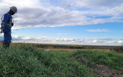 Knights Spraying Guiding Principles